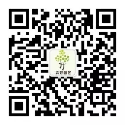 企业公众号二维码