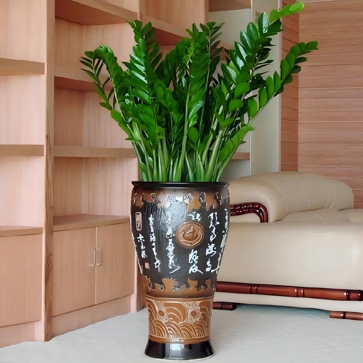 上海展会金钱树租摆常见问题解析，卉好园艺教你避坑选对绿植