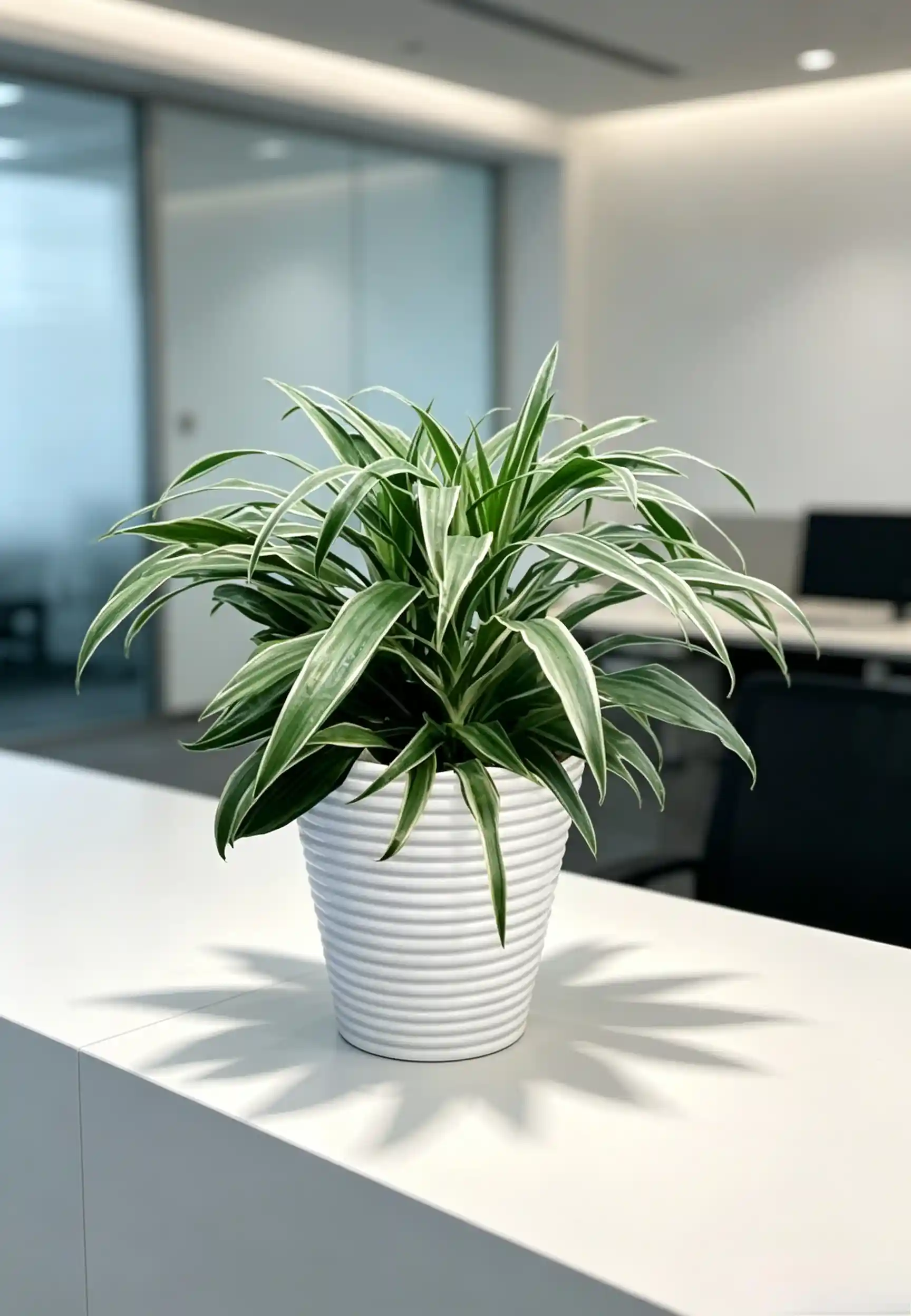 上海商场银边铁租摆知识指南：商场绿植养护与品牌选择要点