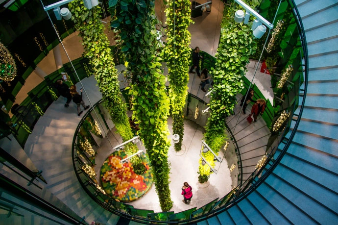 上海商场商业体植物租赁|购物中心、门店中庭商业空间绿化装饰 上海商场商业体植物租赁|购物中心、门店中庭商业空间绿化装饰