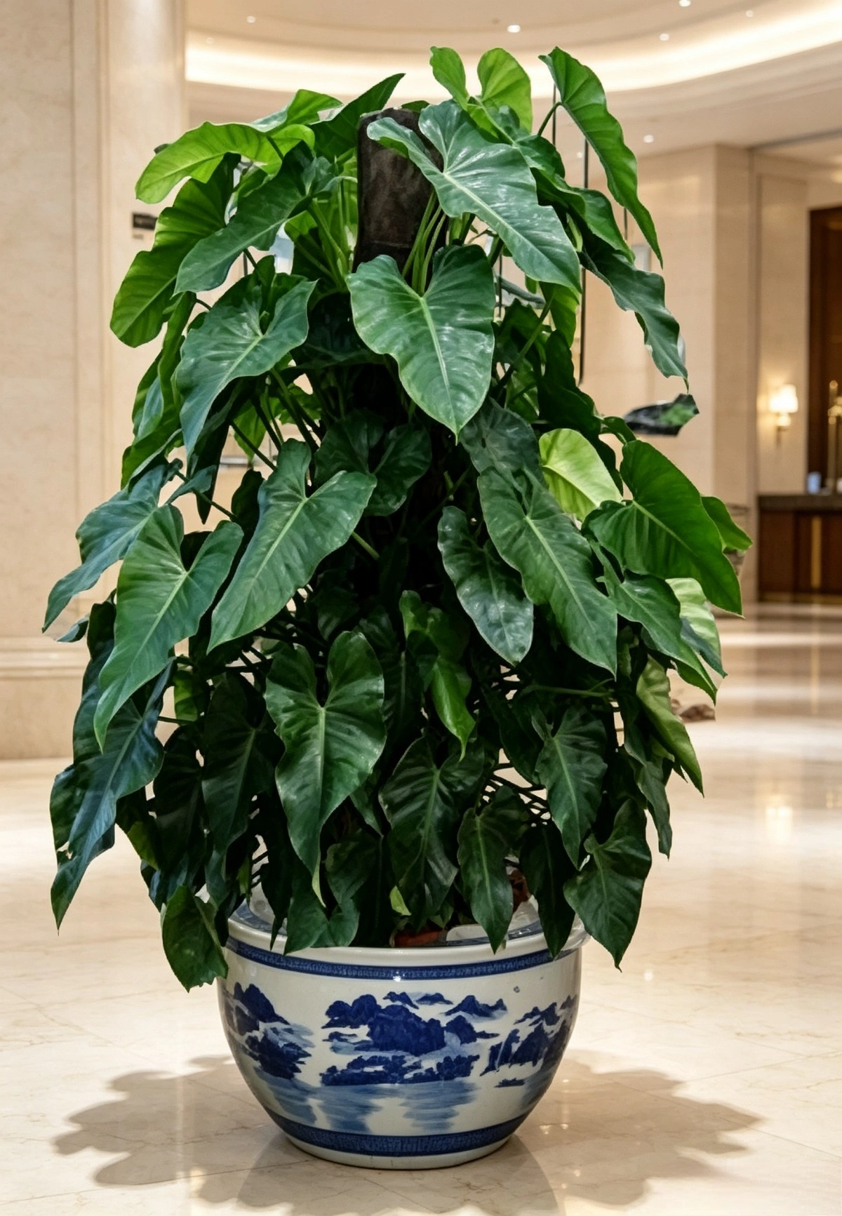 绿宝石