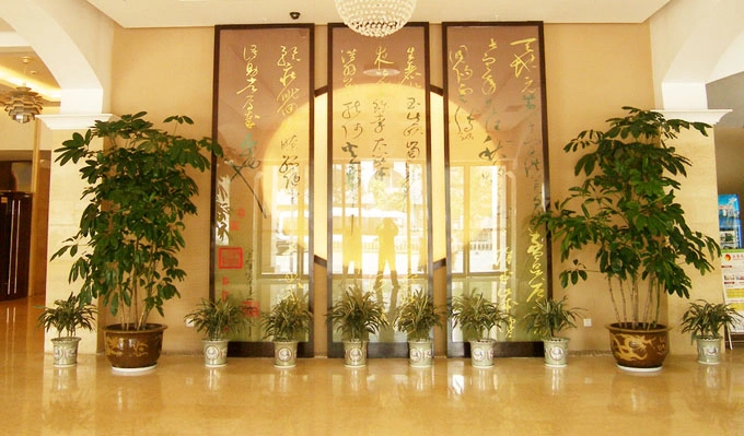 奉贤酒店绿植租赁案例