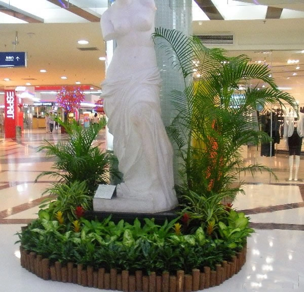 黄浦商场植物租赁案例