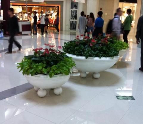 金山商场植物出租案例