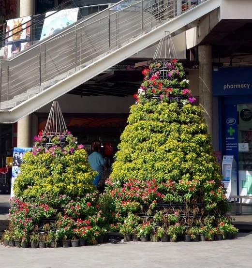 闵行商场绿植租赁案例