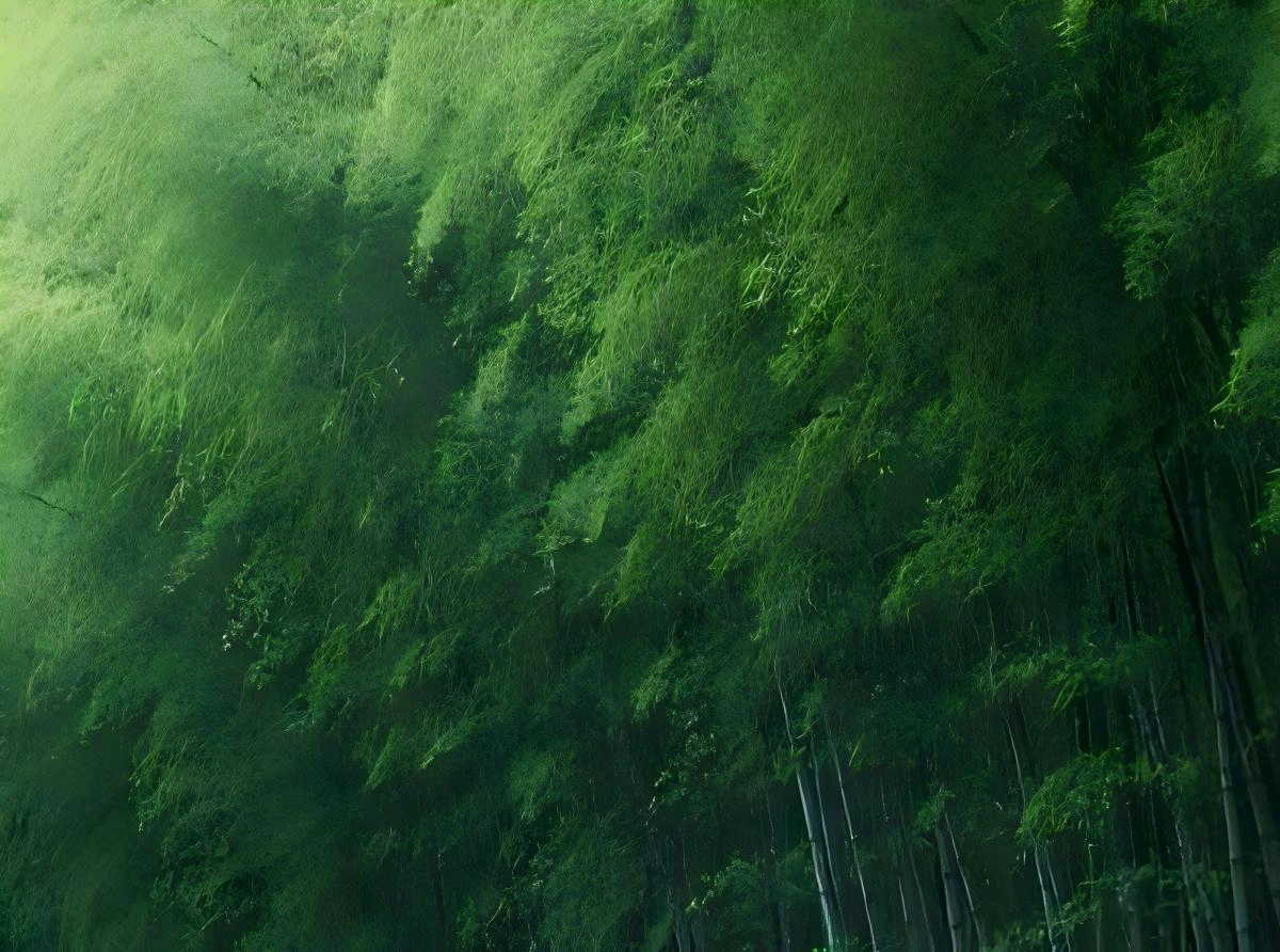 竹子竹林