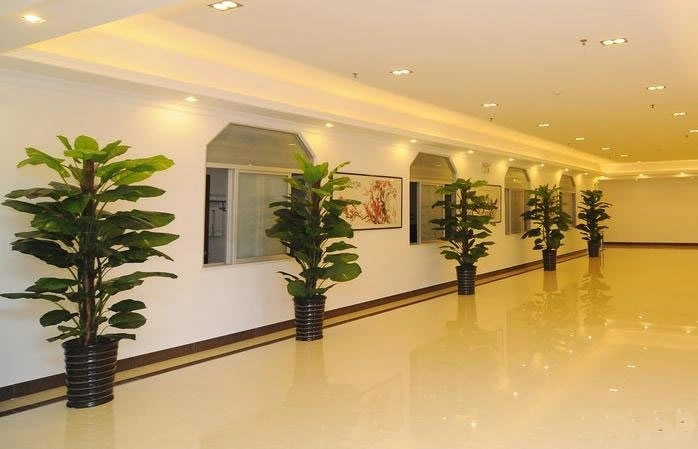 青浦酒店植物租摆案例