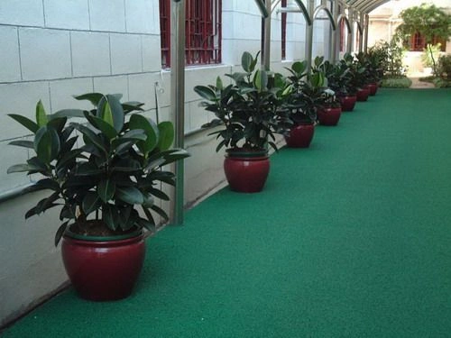 青浦办公室植物租赁案例