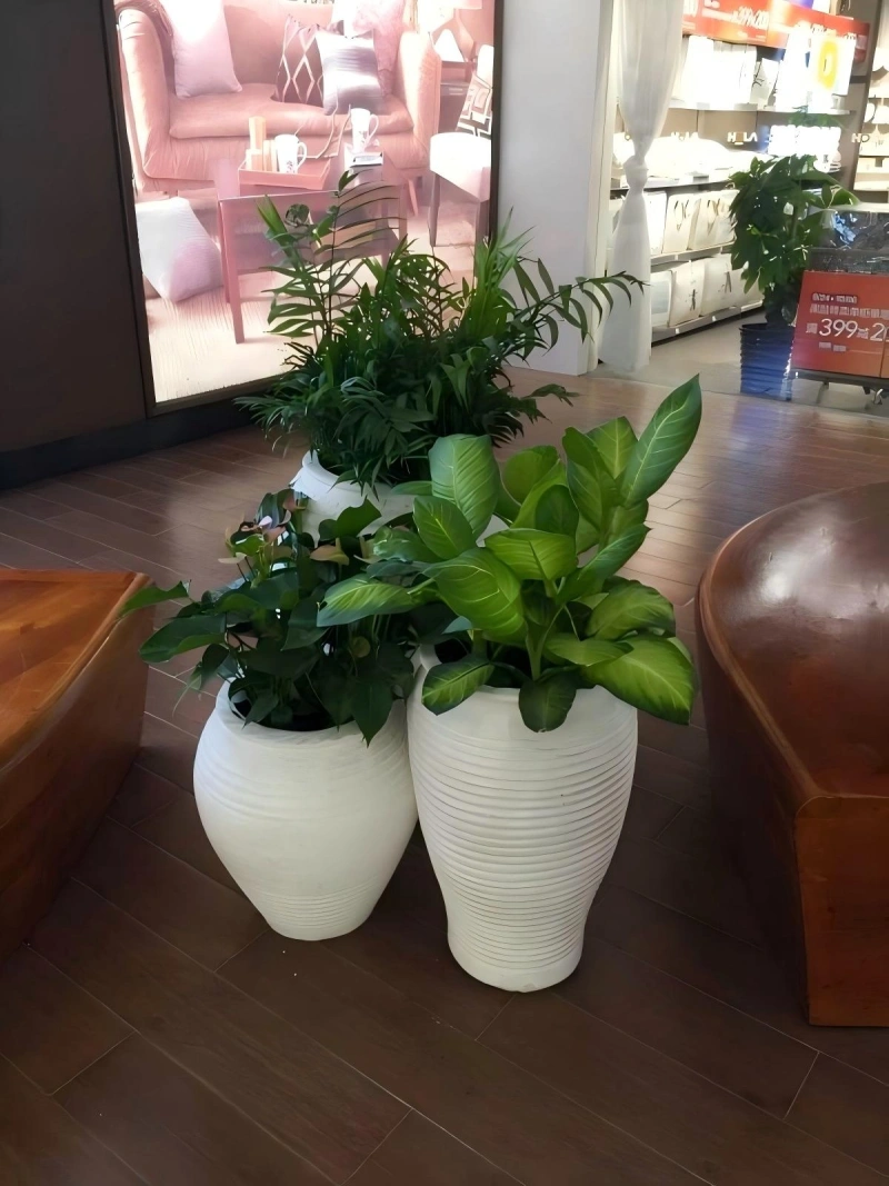组合花卉3