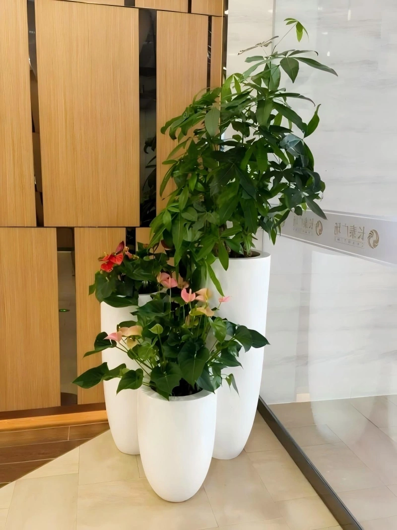 组合花卉4