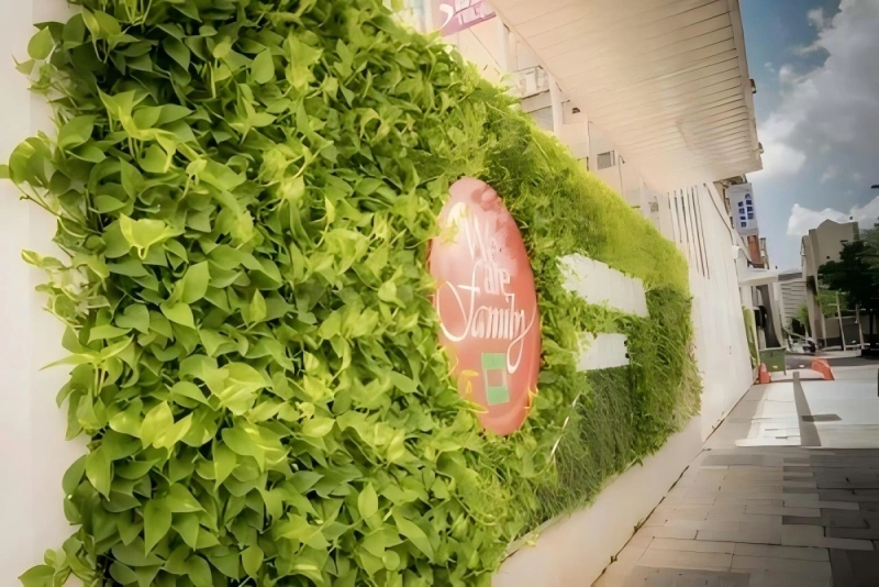 植物墙 (1)
