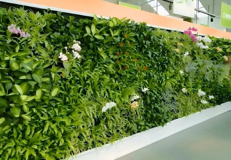 植物墙 (1)