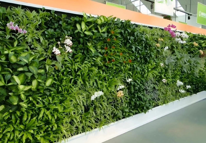 植物墙 (5)