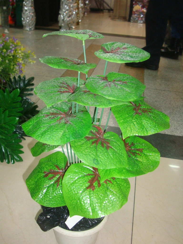 嘉定商场绿植出租案例