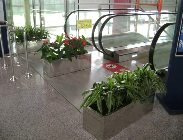 浦东商场植物出租案例
