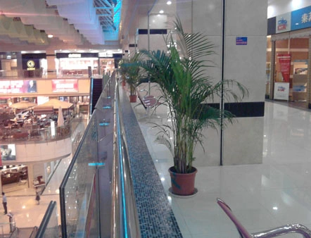 杨浦商场植物租赁案例