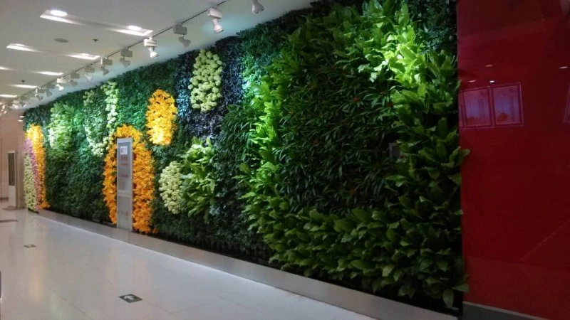 长宁商场植物植物墙案例